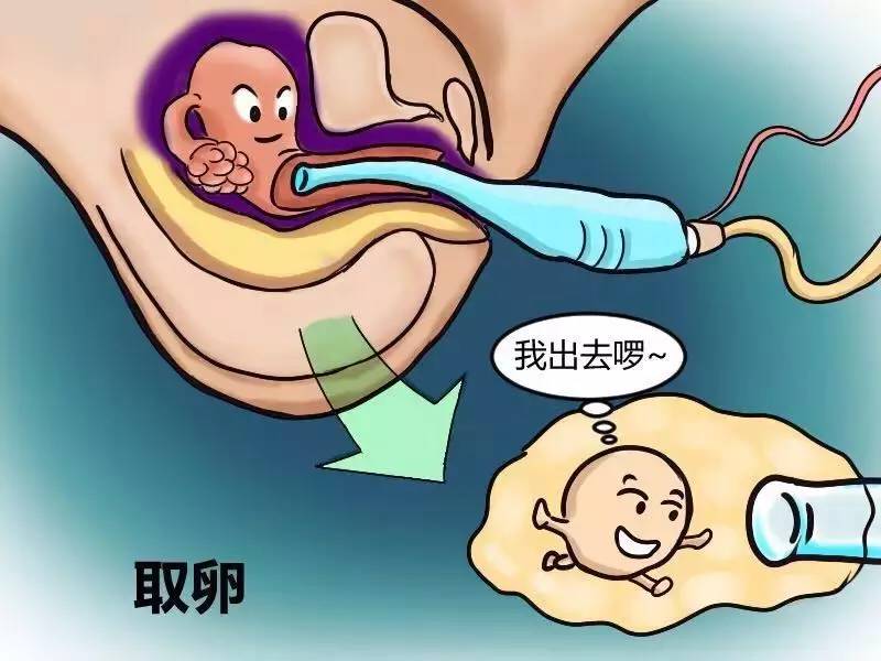这些是借卵做生子自怀试管必须知道的促排卵药物常识
