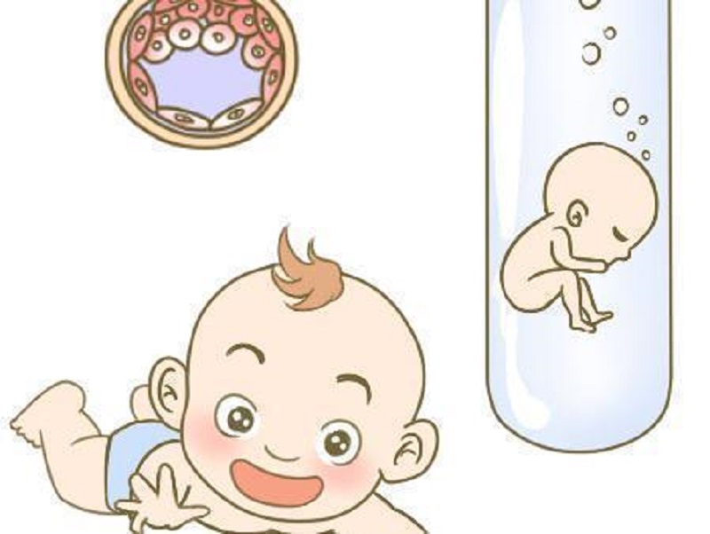 供精试管与人类克隆的区别