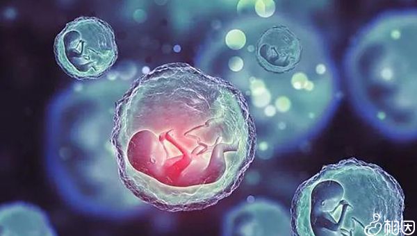 卵巢早衰还可以怀孕吗？该如何保养卵巢呢？