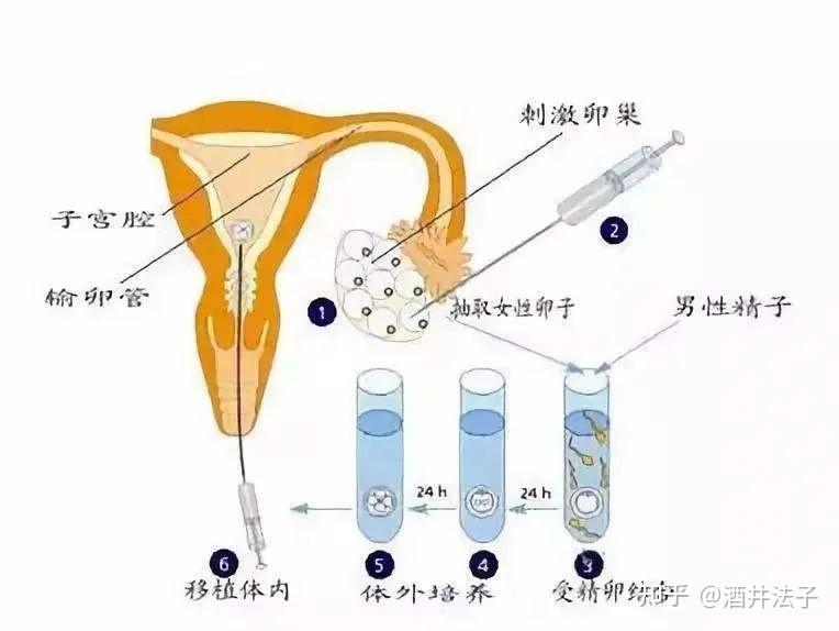 重医附二院精子检查+重医附二院孕前检查