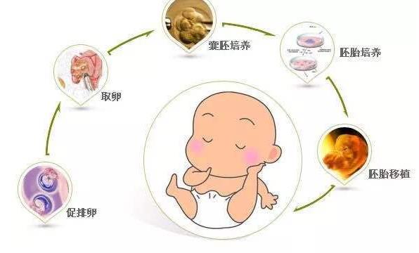 南昌第三代代怀几代成功率高成功率哪里_溴隐亭其他药物说明书_作用_效果_多少钱_南方39私立自怀试管网