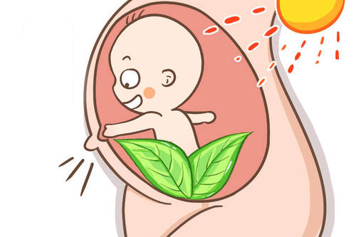 代怀代生包男孩妇科医生-哪些职业女性容易月经不调