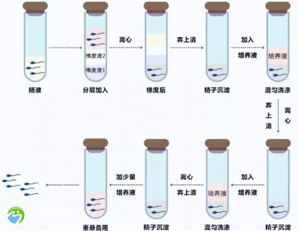 试管冻胚和鲜胚哪个成功率比较高
